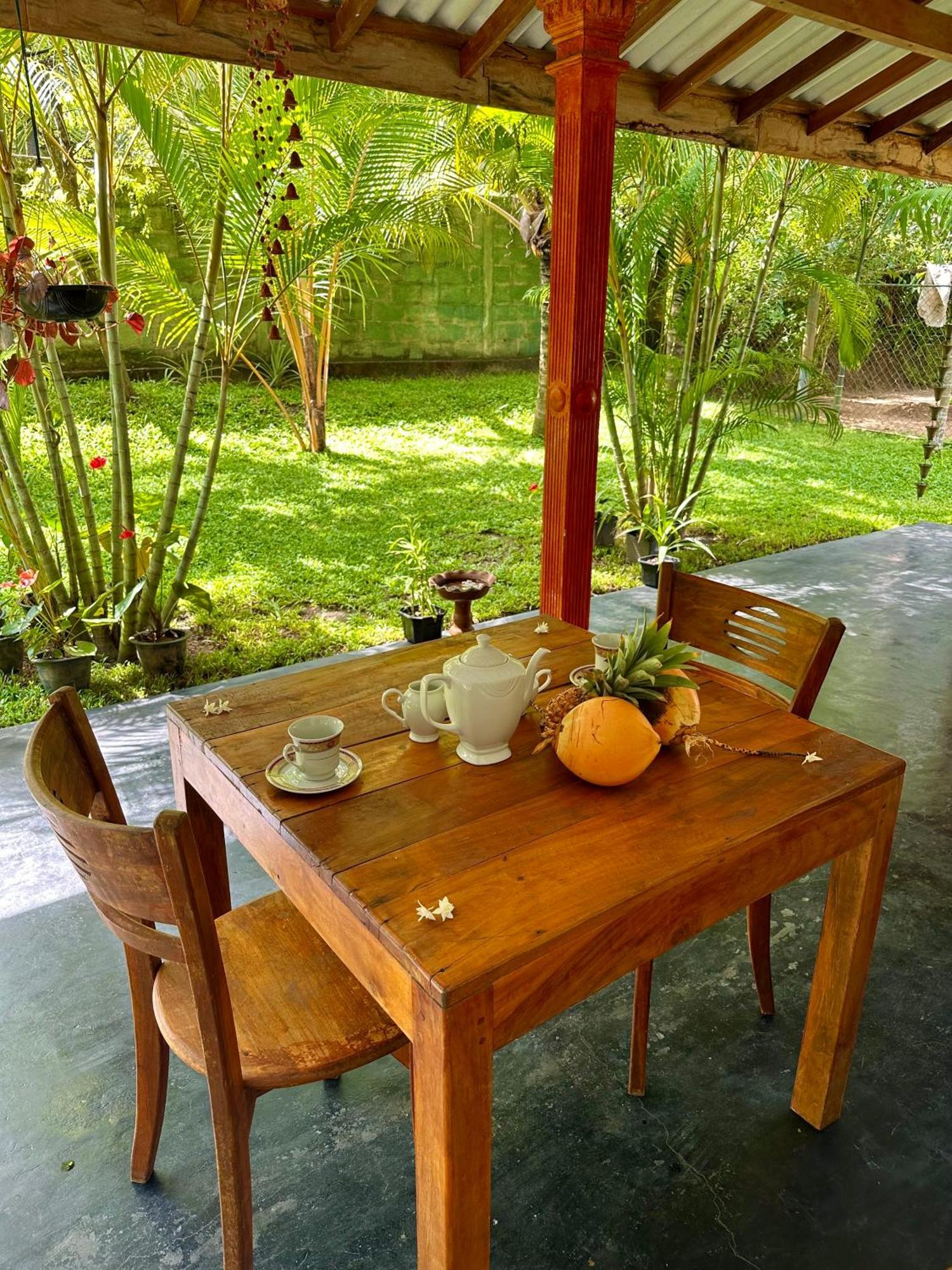 Jasmin Homestay Marakolliya Tangalle Dış mekan fotoğraf