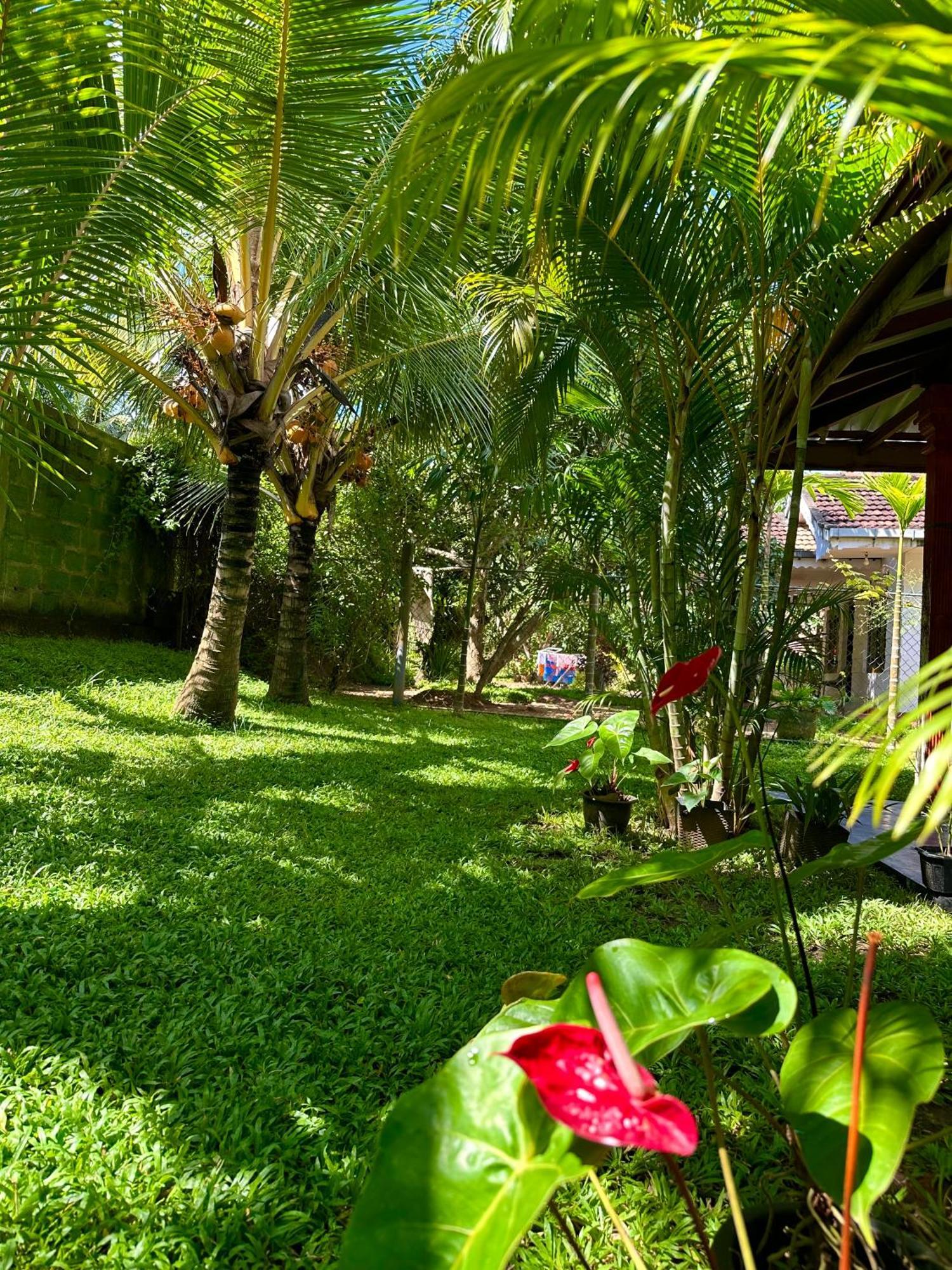 Jasmin Homestay Marakolliya Tangalle Dış mekan fotoğraf