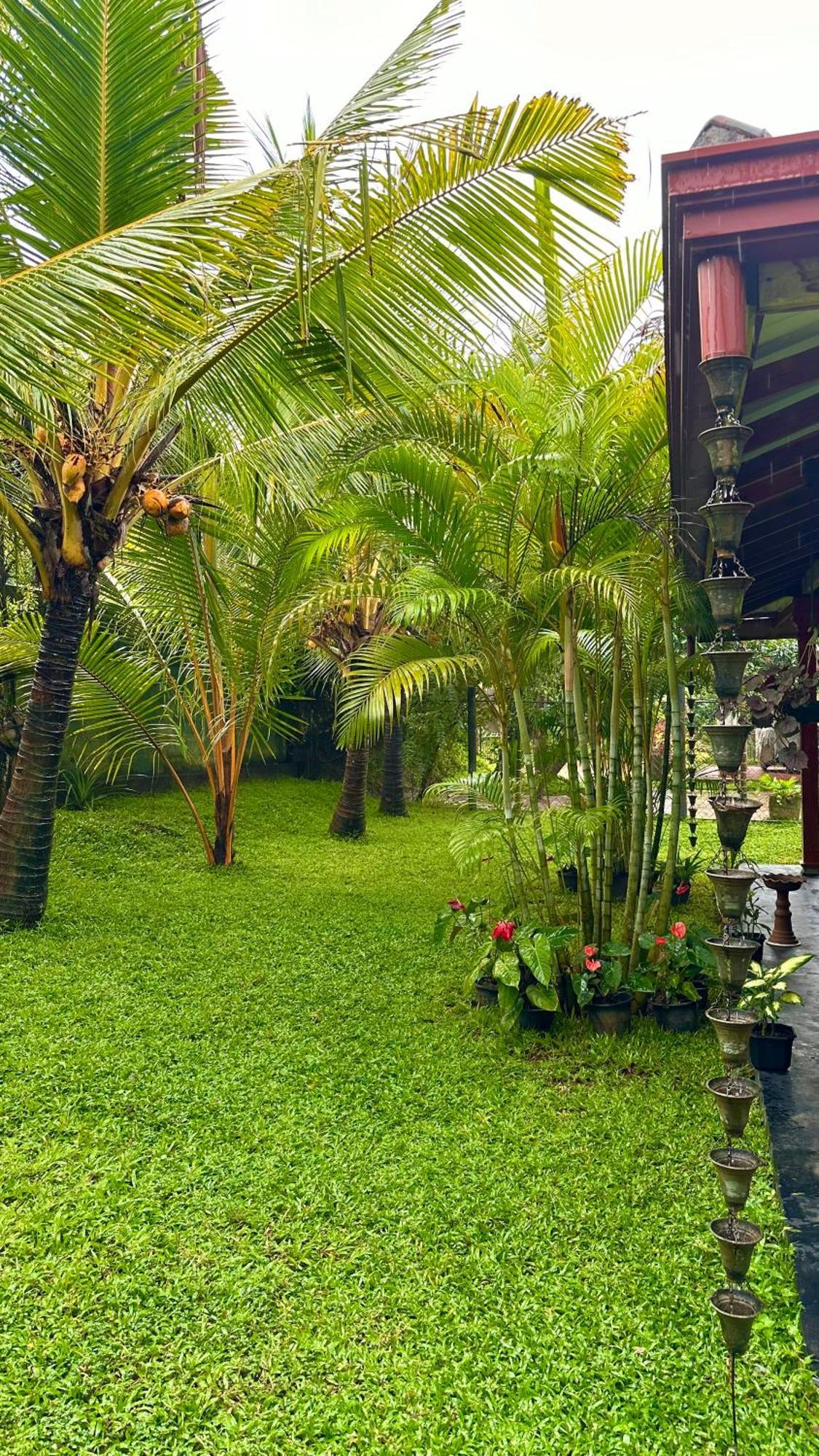 Jasmin Homestay Marakolliya Tangalle Dış mekan fotoğraf
