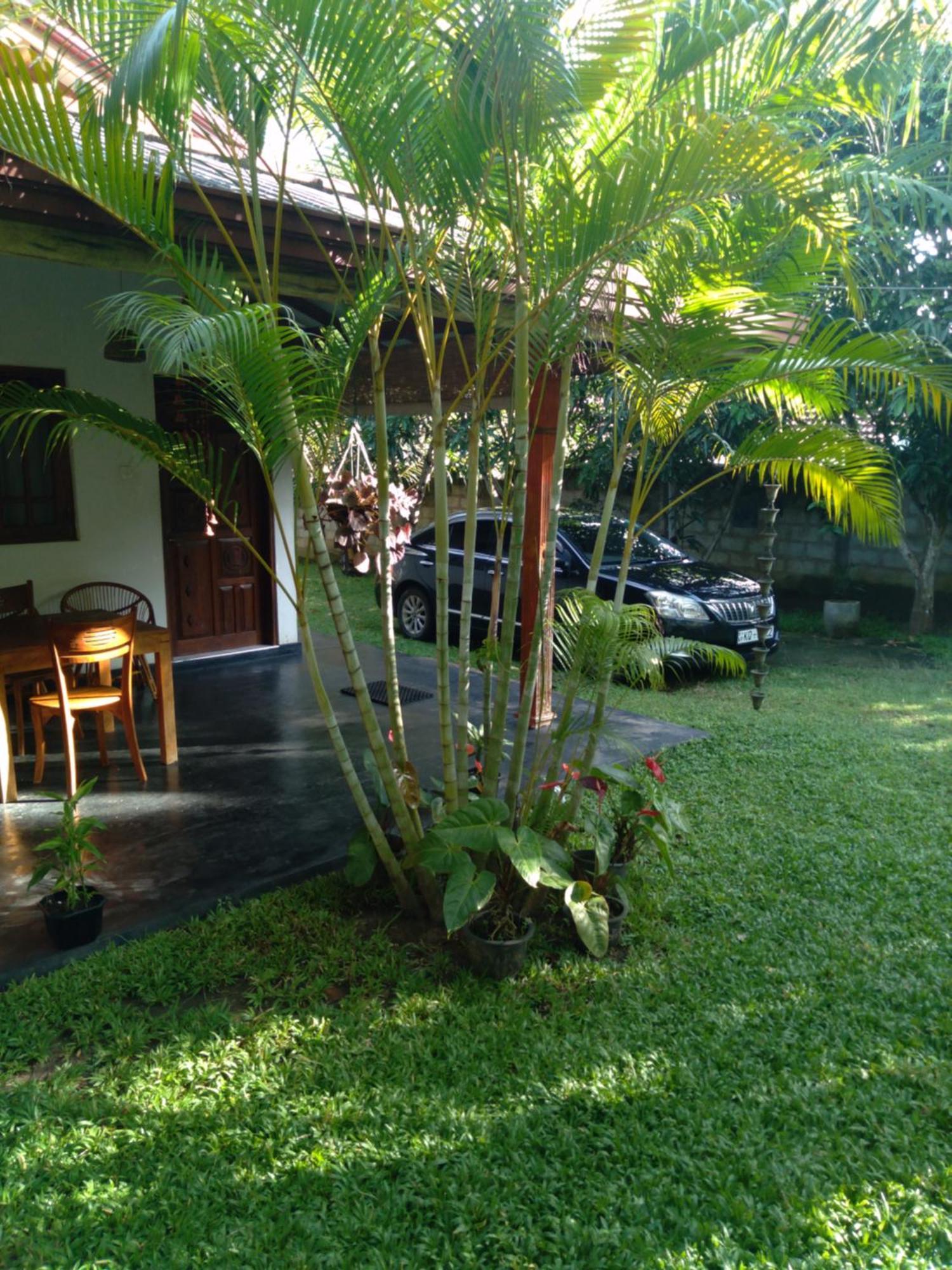 Jasmin Homestay Marakolliya Tangalle Dış mekan fotoğraf